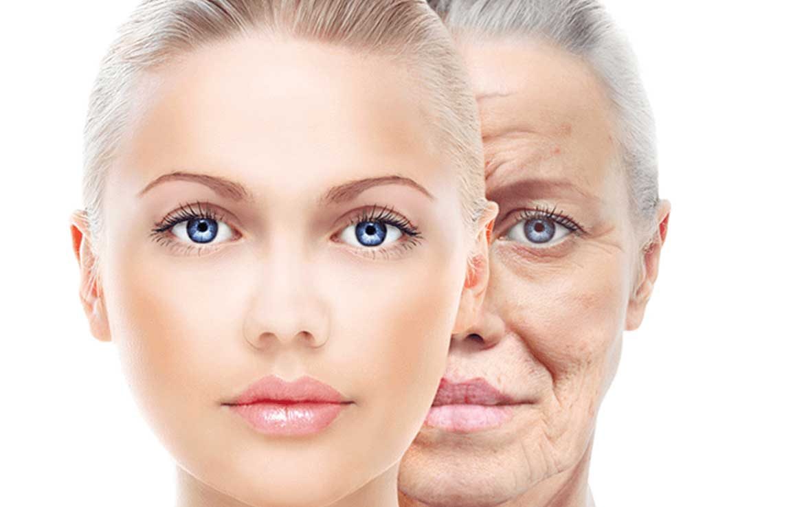 تولیدی میرزایی