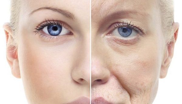 تولیدی میرزایی